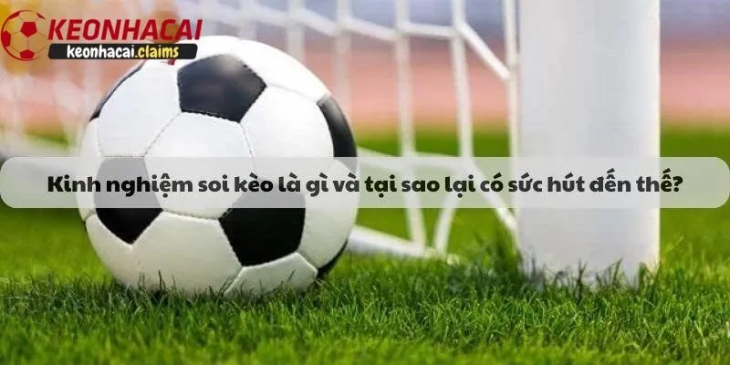 Kèo Nhà Cái – Bí Quyết Thắng Lớn Khi Cá Cược Bóng Đá Kinh nghiệm soi kèo hiệu quả từ cao thủ nhà cái